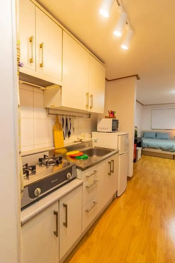 Hongdae Wide 1 Room Seoul Apartment
